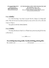 Kỳ thi chọn học sinh giỏi lớp 11 THPT năm học 2012 - 2013 đề thi môn Ngữ Văn